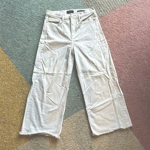 Banana Republic High Rise Wide Leg Crop with Premium Denim